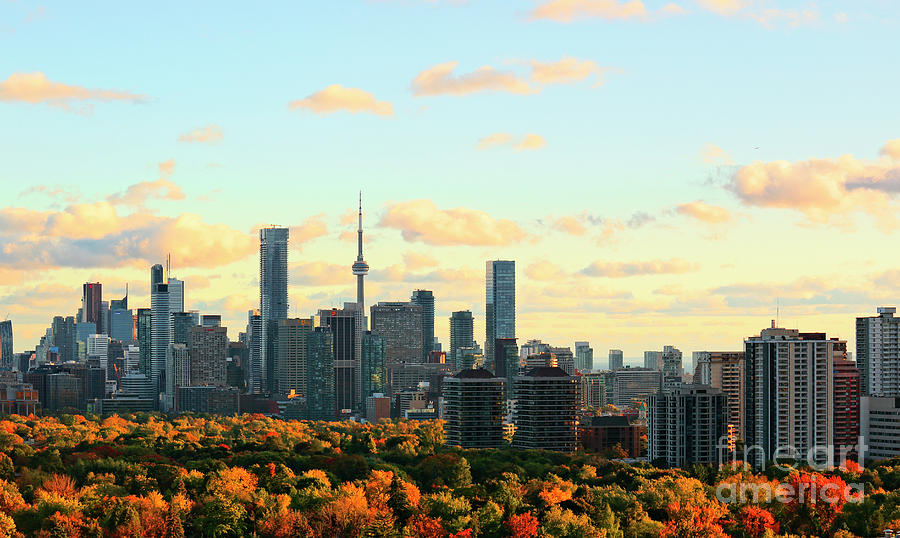 Toronto Autumn Skyline Photograph by Charline Xia