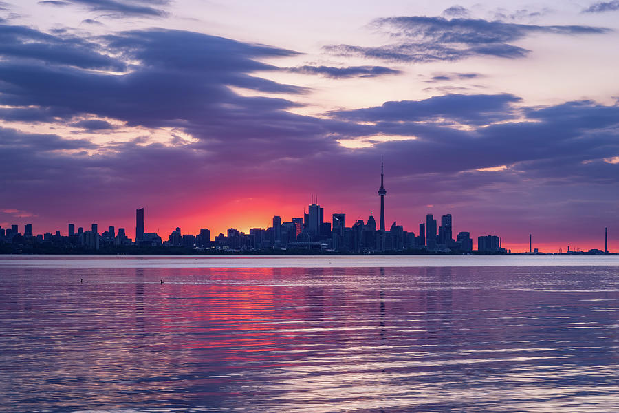 Toronto in Fifty Shades of Violet Pink and Purple Photograph by Georgia Mizuleva