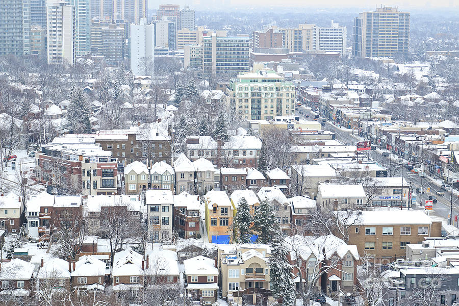 Toronto Midtown Fresh Snow Photograph by Charline Xia