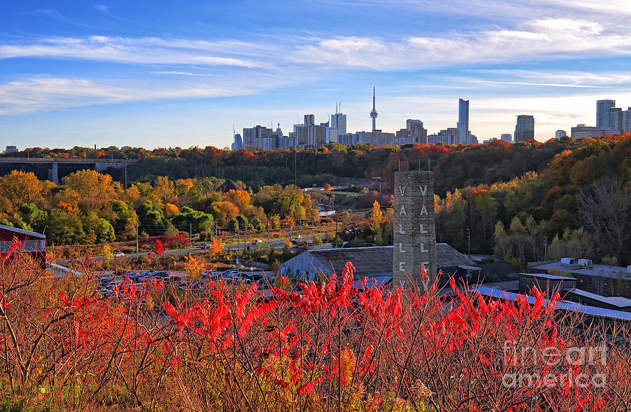 Fall Photograph - Toronto Skyline from Don Valley by Charline Xia