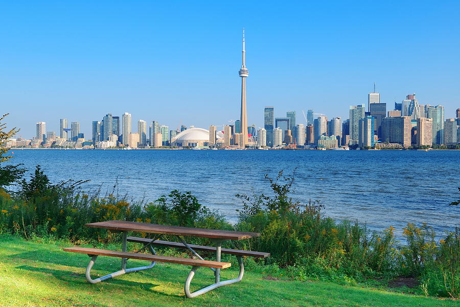 Toronto skyline from park Photograph by Songquan Deng