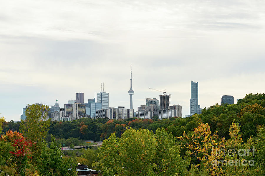 Toronto skyline in fall  Photograph by Les Palenik