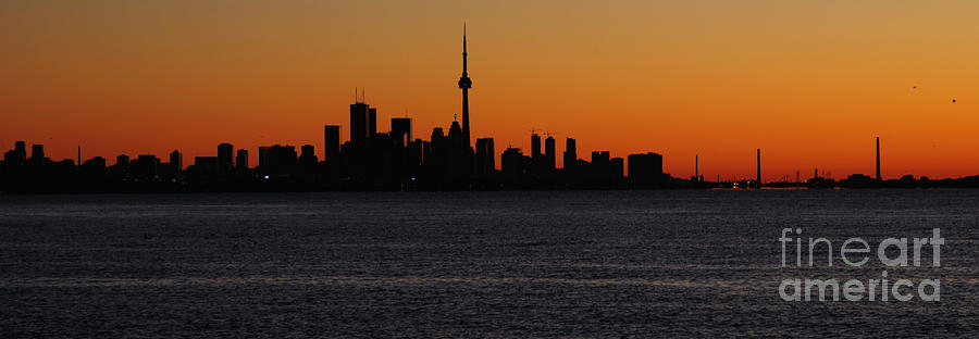 Skyline Photograph - Toronto Skyline by Joe Ng