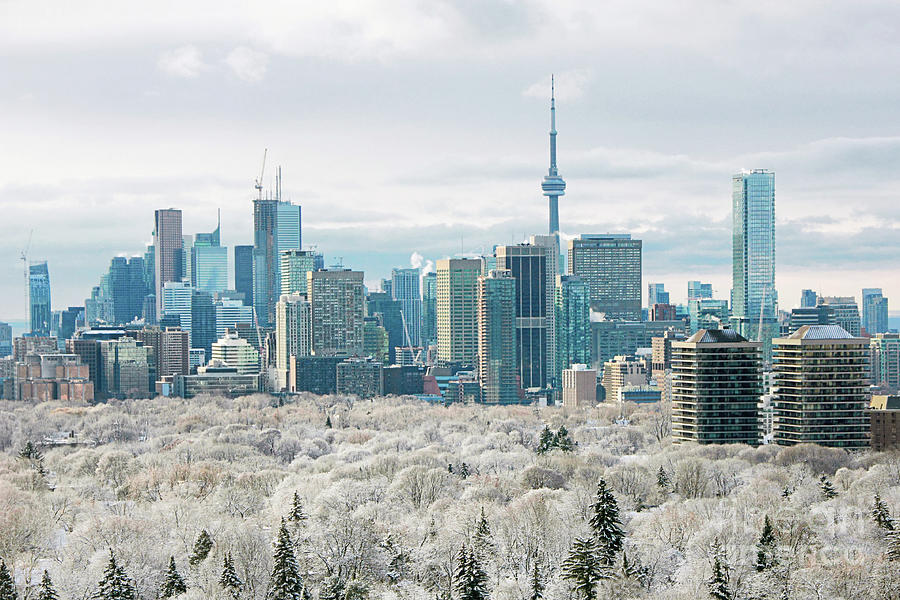 Toronto Winter 2013 Photograph by Charline Xia