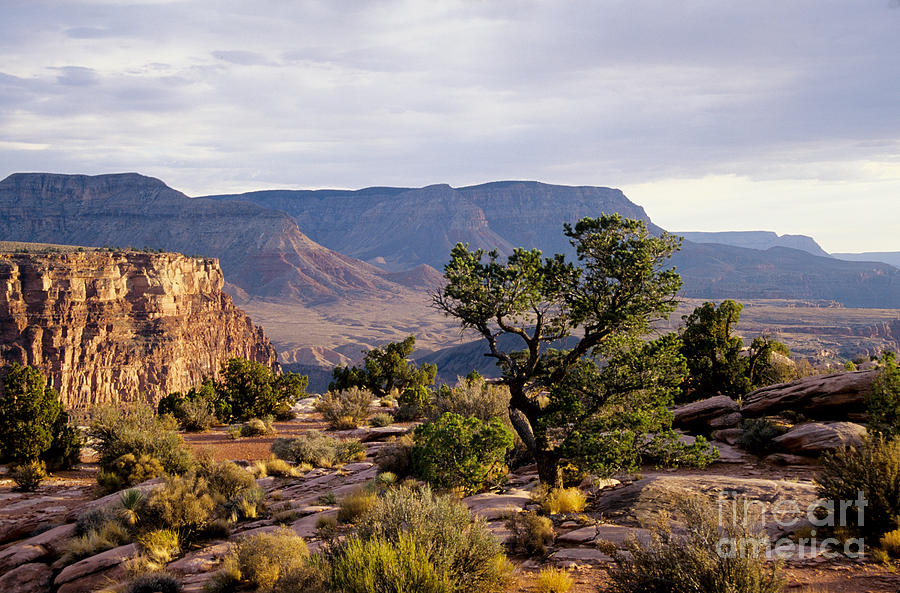 Grand Canyon National Park Photograph - Toroweap by Kathy McClure