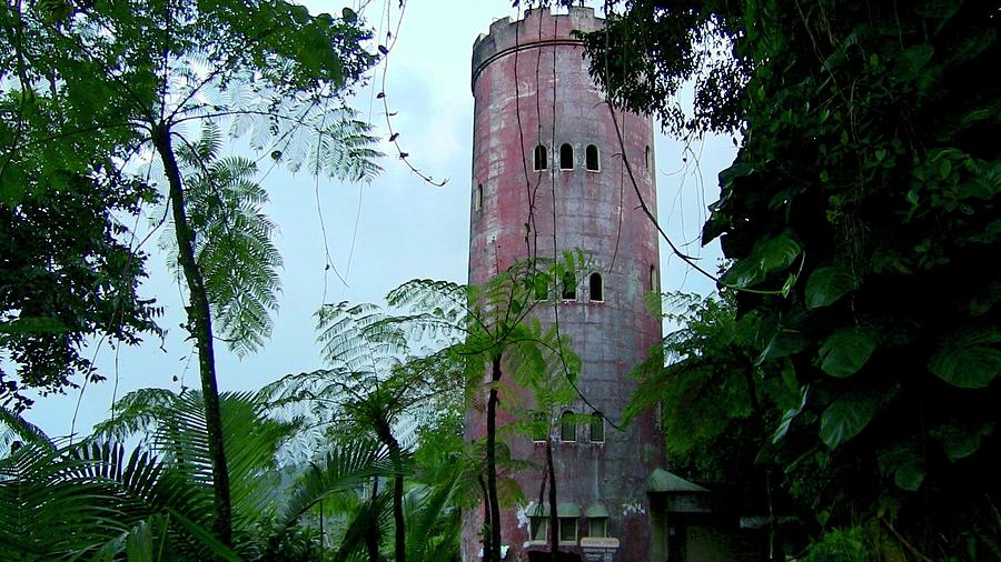 Torre de Observacion Yokahu  Photograph by Walter Rivera-Santos