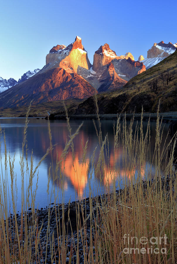 Torres del Paine 10 Photograph by Bernardo Galmarini