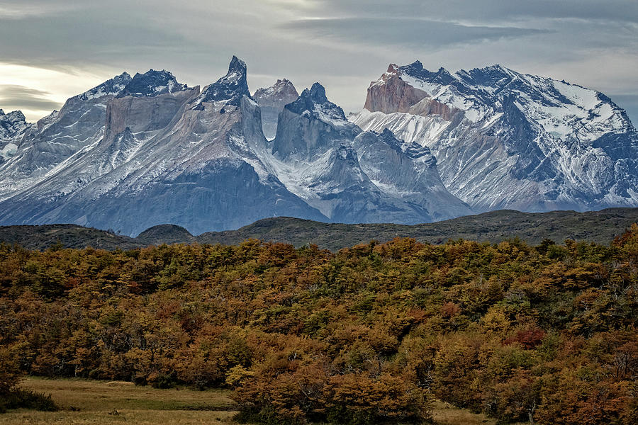 Torres del Paine national Park, Chile Photograph by Steven Upton