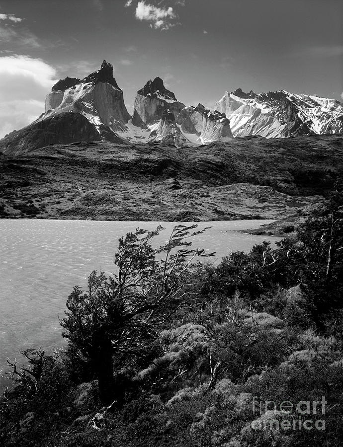 Torres del Paine National Park Photograph by Craig Lovell