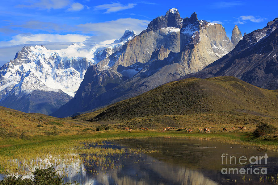 Torres del Paine National Park Patagonia Chile Photograph by Louise Heusinkveld