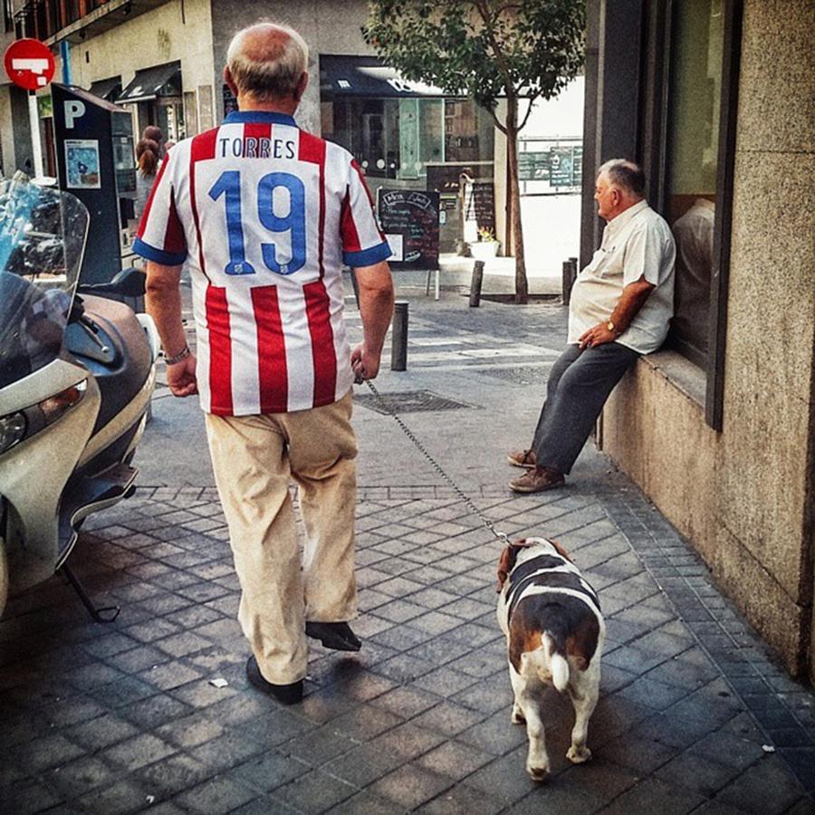 Football Photograph - Torres Dog
#street #urban #city #dog by Rafa Rivas