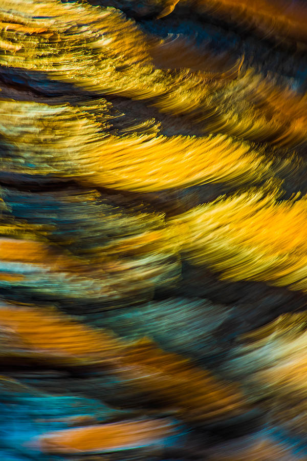 Torrey Pine Bark abstract Photograph by Bruce Pritchett
