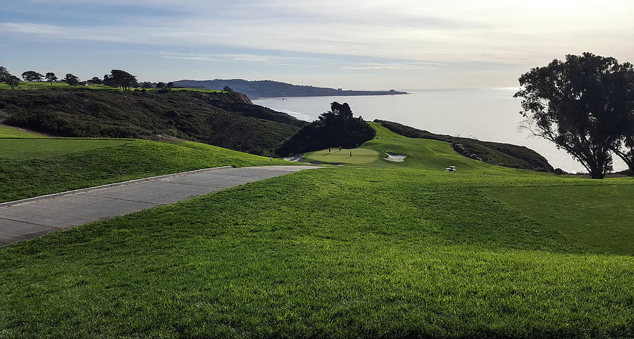 Torrey Pines #15 Photograph by William Kimble