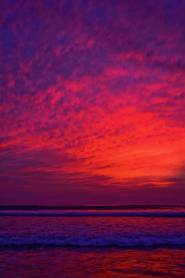 Torrey Pines Beach Sunset Portrait Photograph by Kyle Hanson
