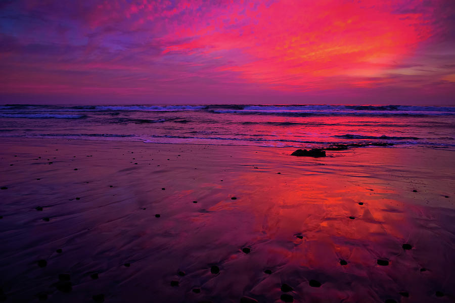 Torrey Pines State Beach Sunset Photograph by Kyle Hanson