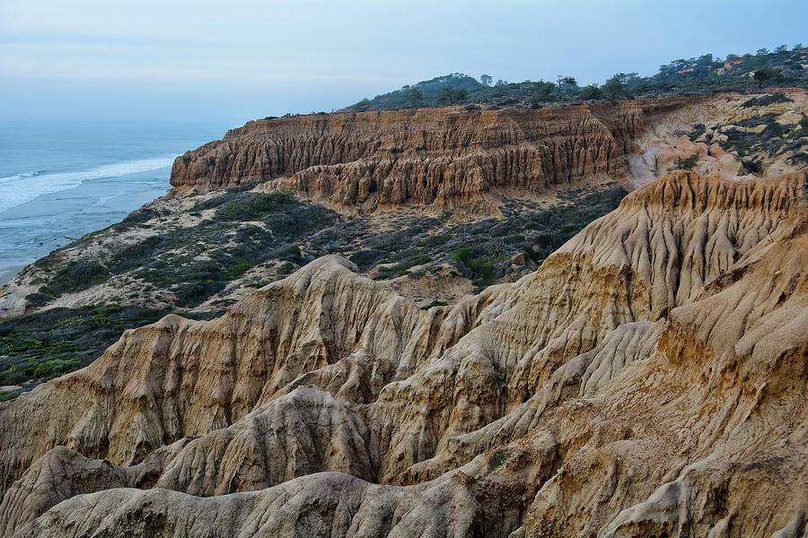 Torrey Pines Yucca Point Photograph by Kyle Hanson