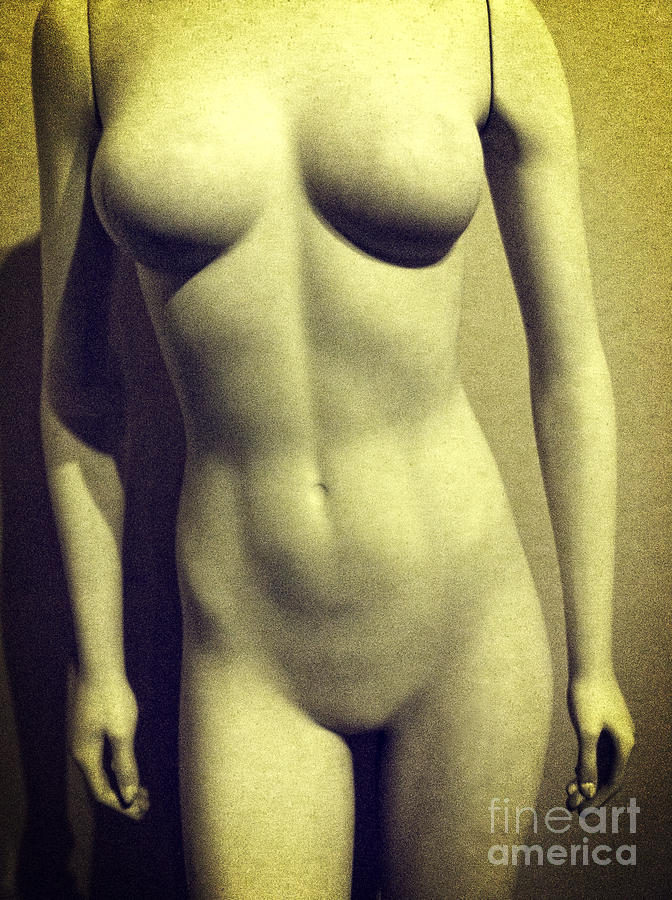 Torso of Nude Female Mannequin  Photograph by Bryan Mullennix