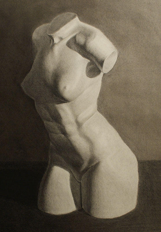 Charcoal Drawing - Torso by Vincent Parker Charcoal Drawing - Torso by Vincent Parker