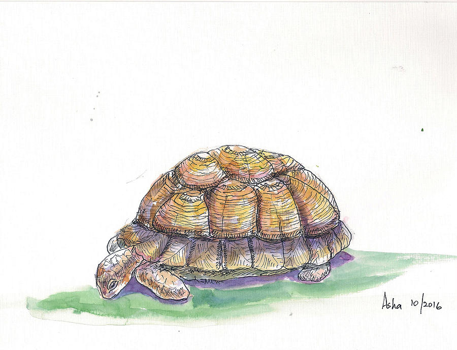 Tortoise Painting by Asha Sudhaker Shenoy