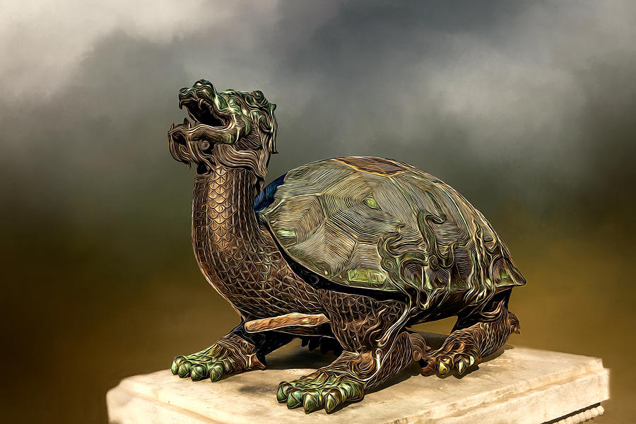 Tortoise Photograph by Maria Coulson