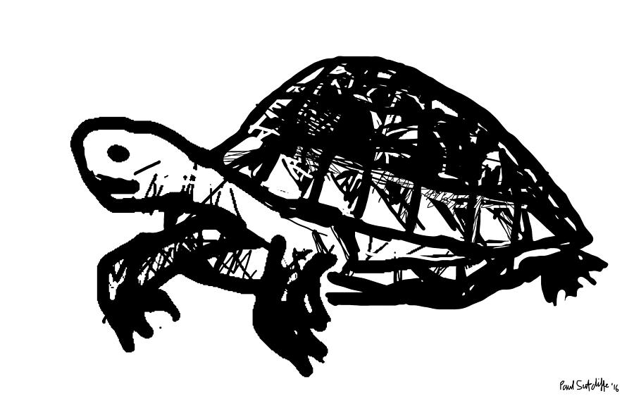 Tortoise Drawing by Paul Sutcliffe | Fine Art America