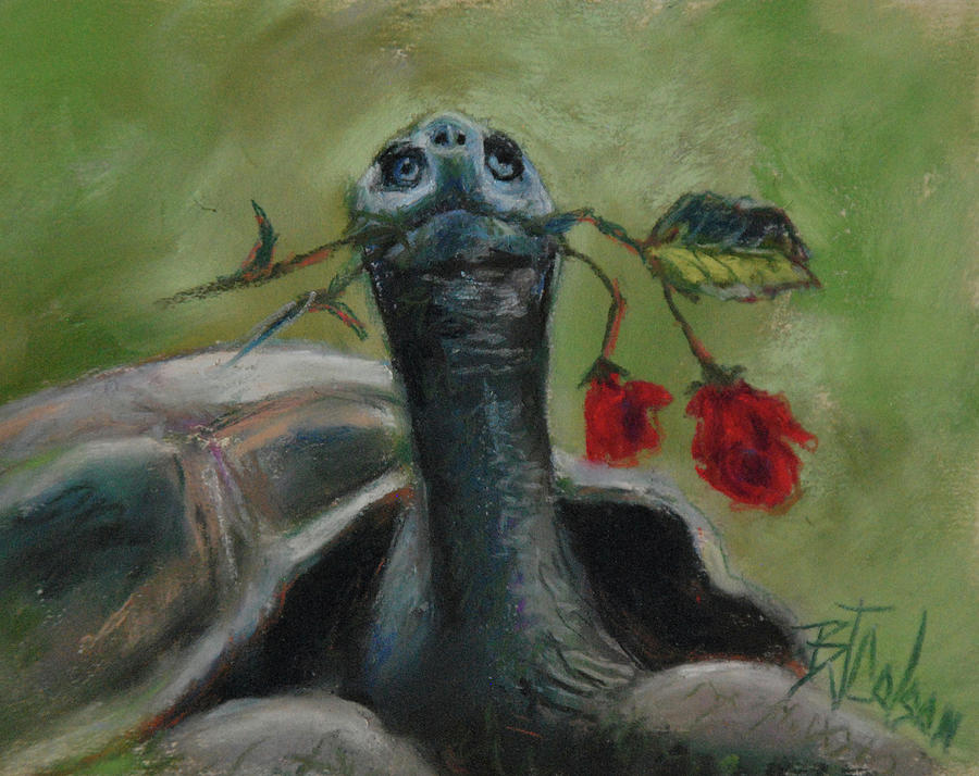Tortoise Romance Pastel by Billie Colson