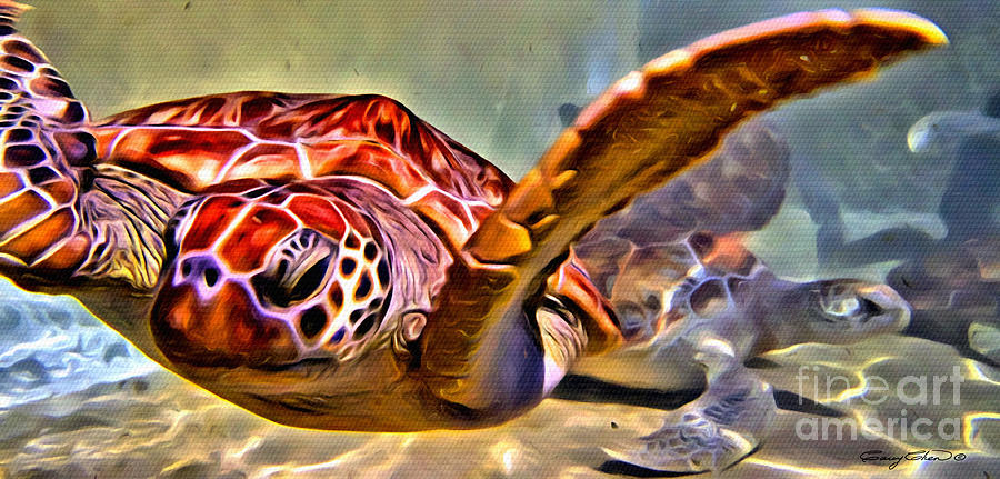 Tortuga Swim Photograph by Carey Chen
