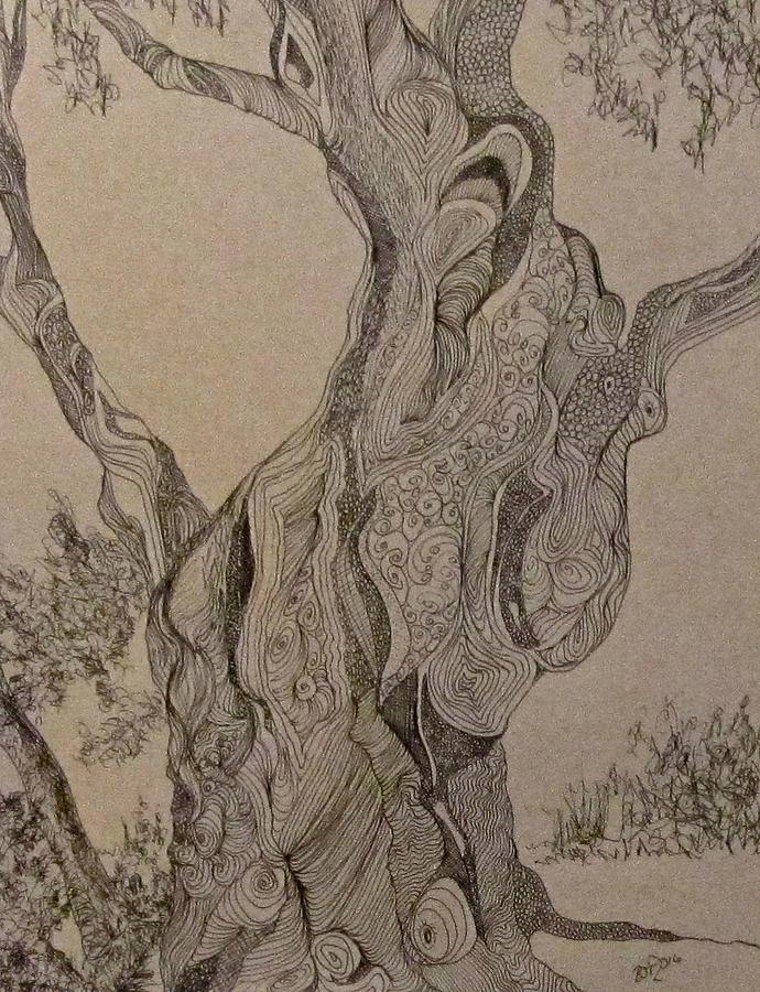 Tortured Tree Drawing by Barbara OToole