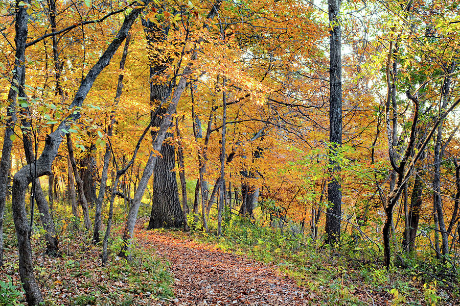 Tosanak Trail Photograph by Bonfire Photography - Fine Art America