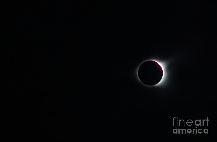 Total Eclipse Photograph by Jennifer Robin