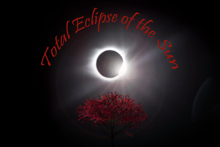Total Eclipse of the Sun in Art Photograph by Debra and Dave Vanderlaan Total Eclipse of the Sun in Art Photograph by Debra and Dave Vanderlaan