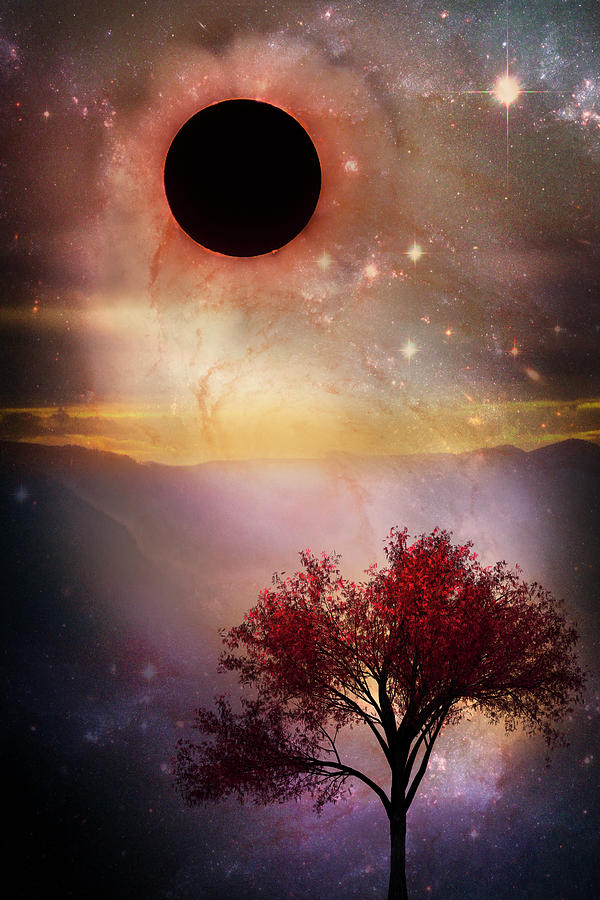 Total Eclipse of the Sun Tree Art Digital Art by Debra and Dave Vanderlaan