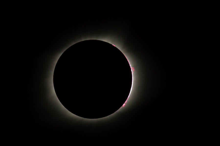 Total Eclipse Solar Flares Photograph