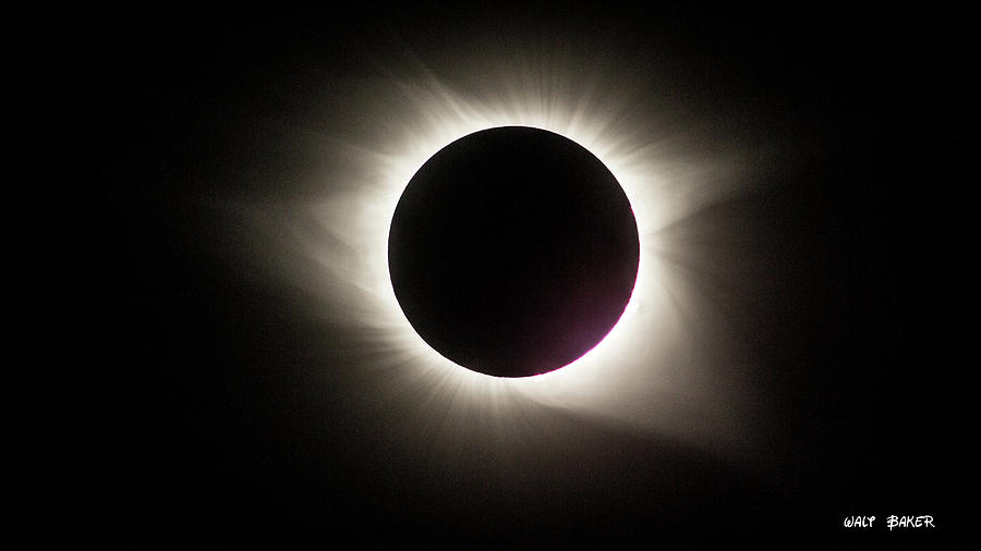 Total Eclipse  Photograph by Walt Baker