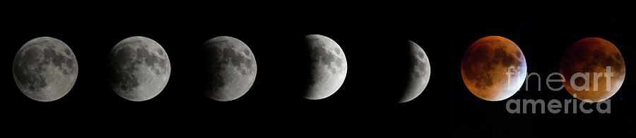 Total Lunar Eclipse - 2015-september 28 Photograph
