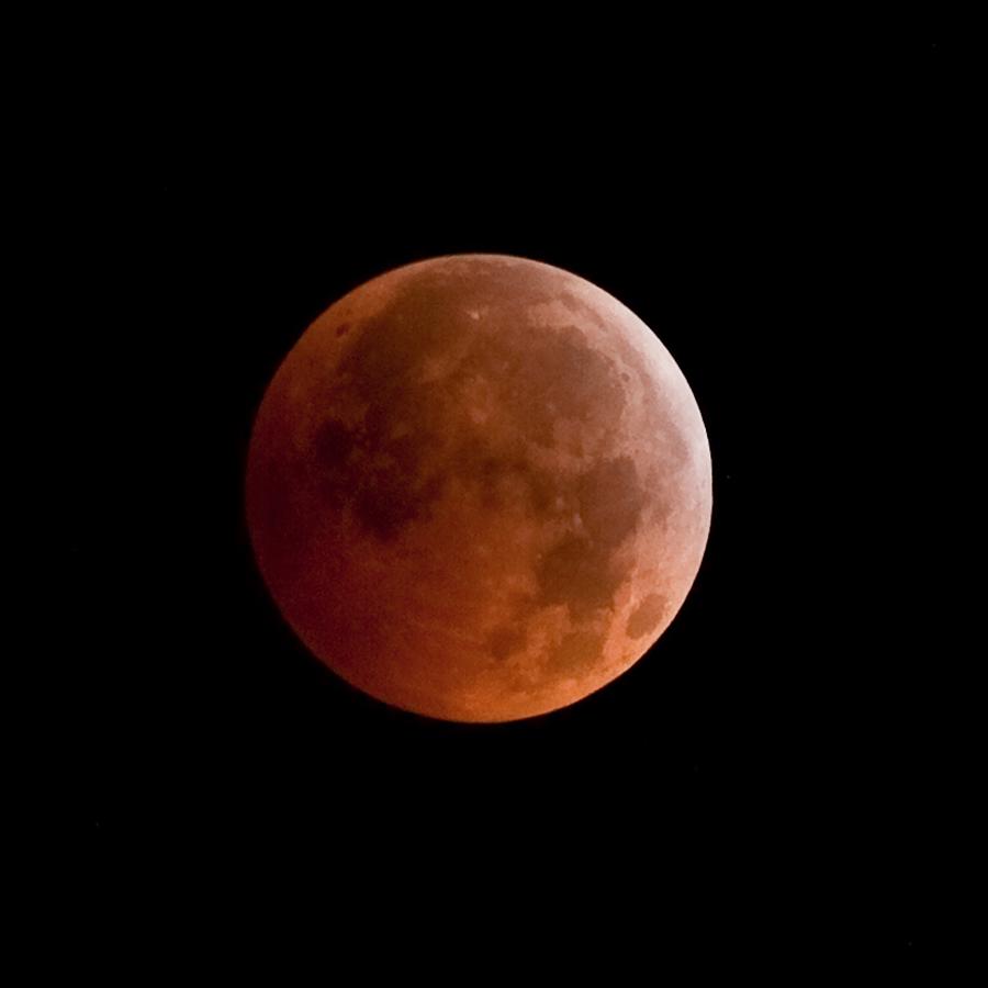 Total Lunar Eclipse Photograph by Jim DeLillo