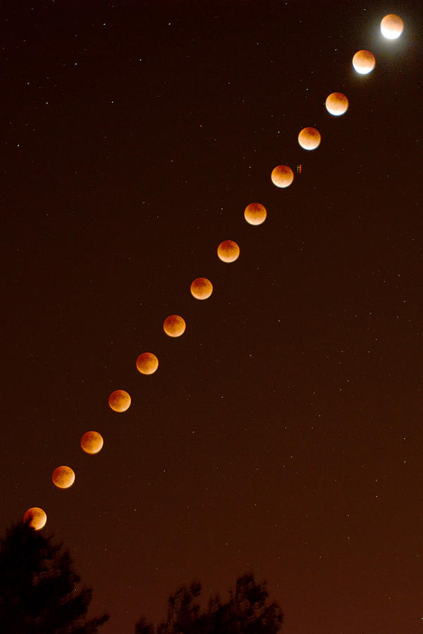 Total Lunar Eclipse September 27 2015 Photograph by Brian Lockett