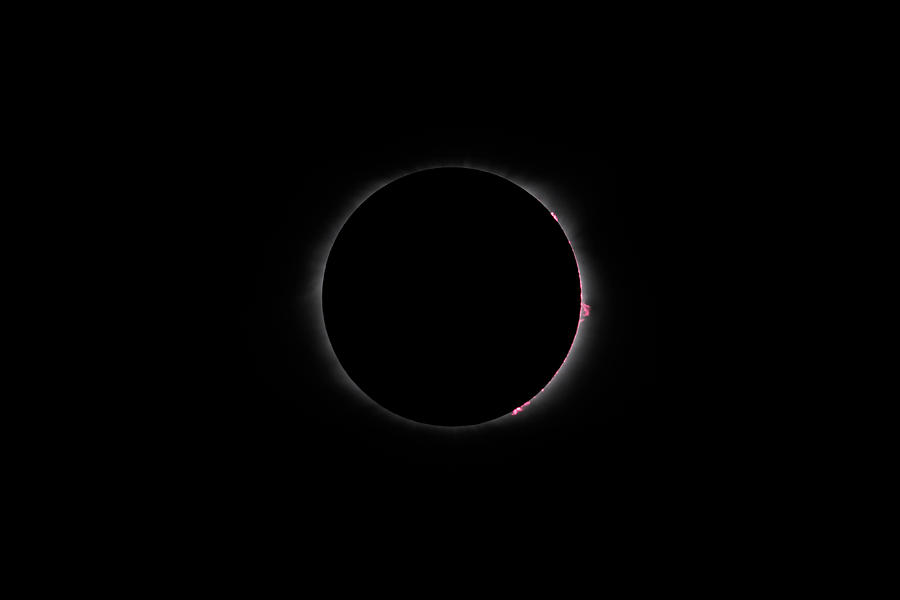 Total Solar Eclipse Prominences Photograph by Alan Vance Ley