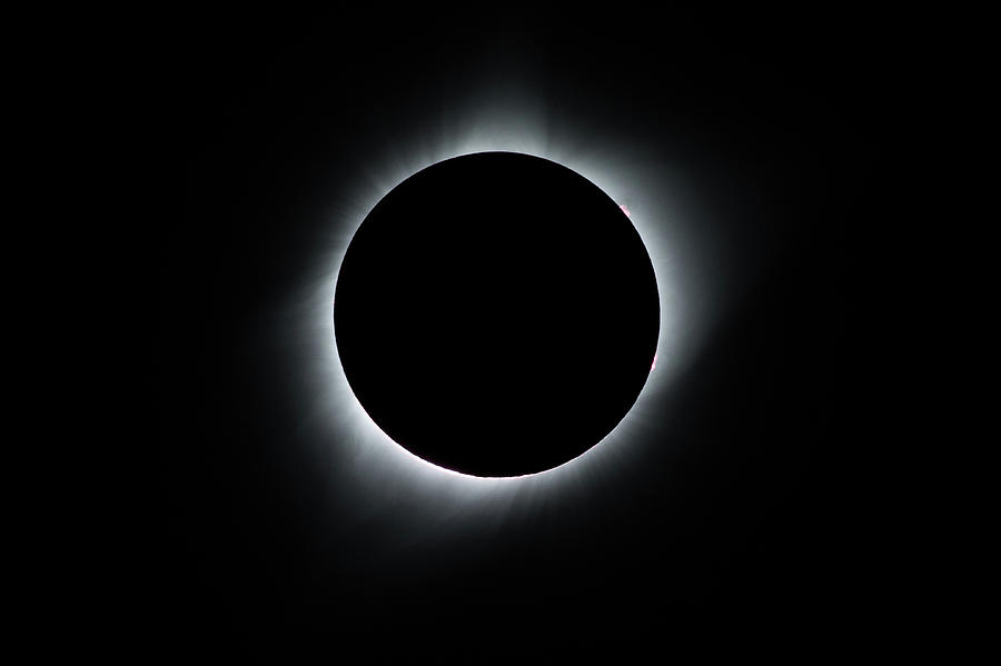 Total Solar Eclipse Photograph by Tony Hake