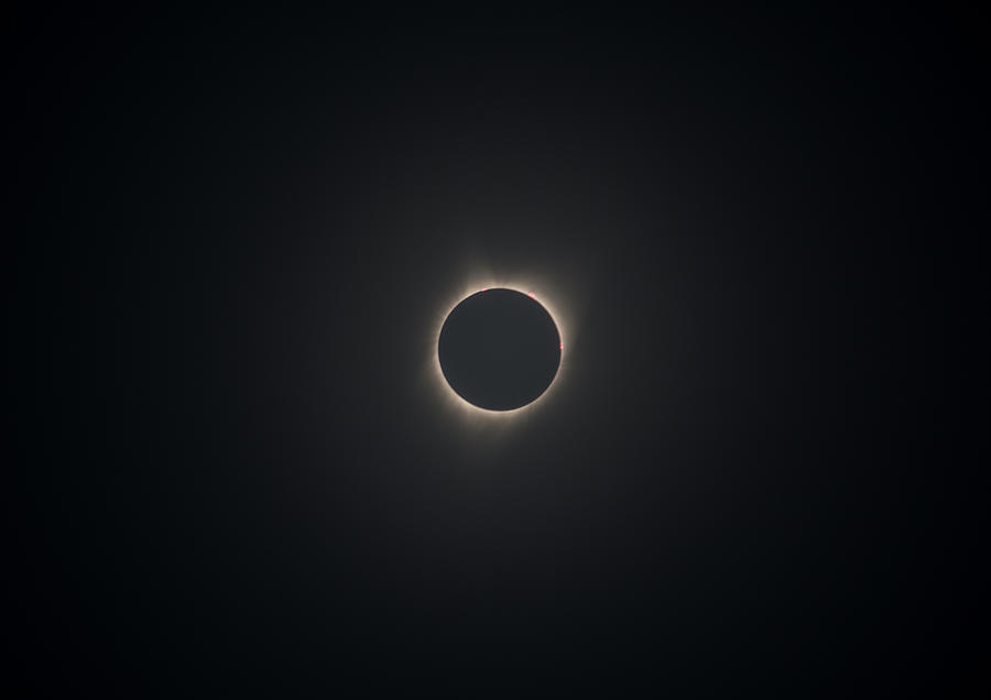 Totality Photograph by Dave Hill