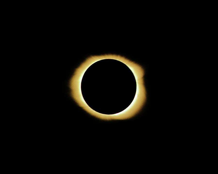 Totality - Eclipse 2017 Photograph by Lynne Jenkins