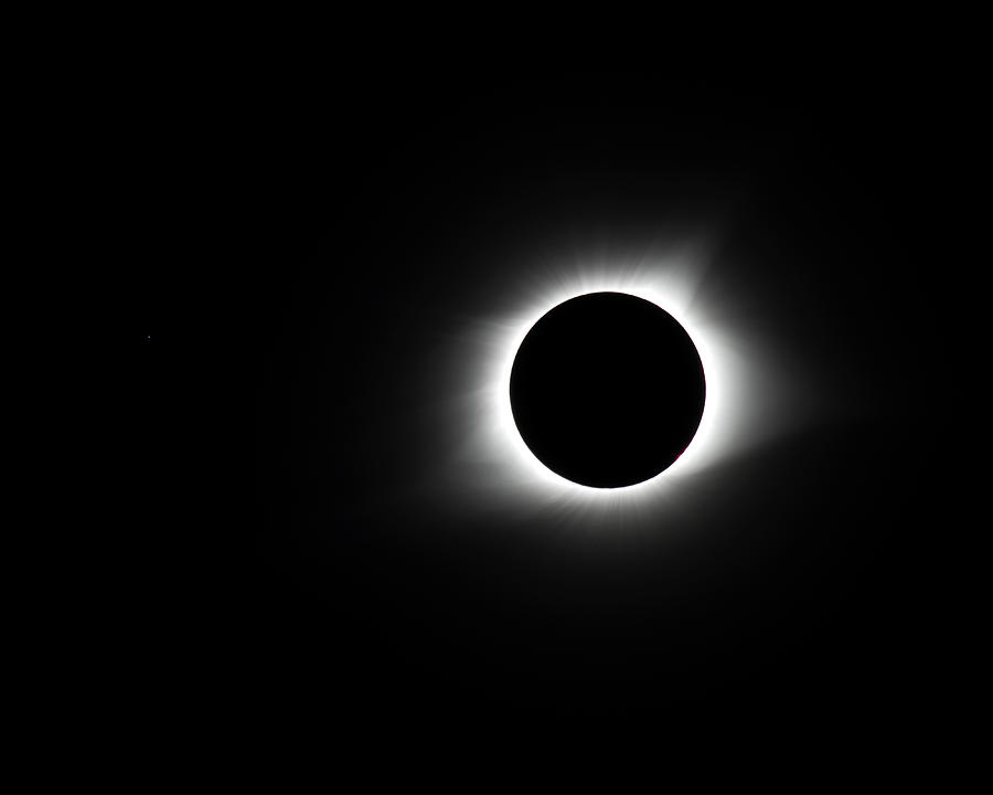Totality Photograph by Leah Palmer