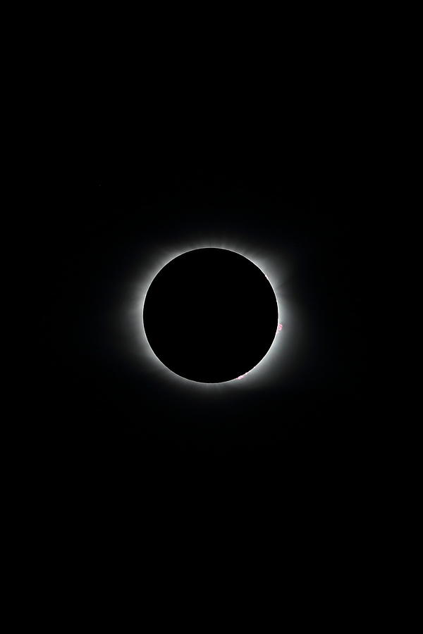 Totality Photograph by Pat Williams - Fine Art America