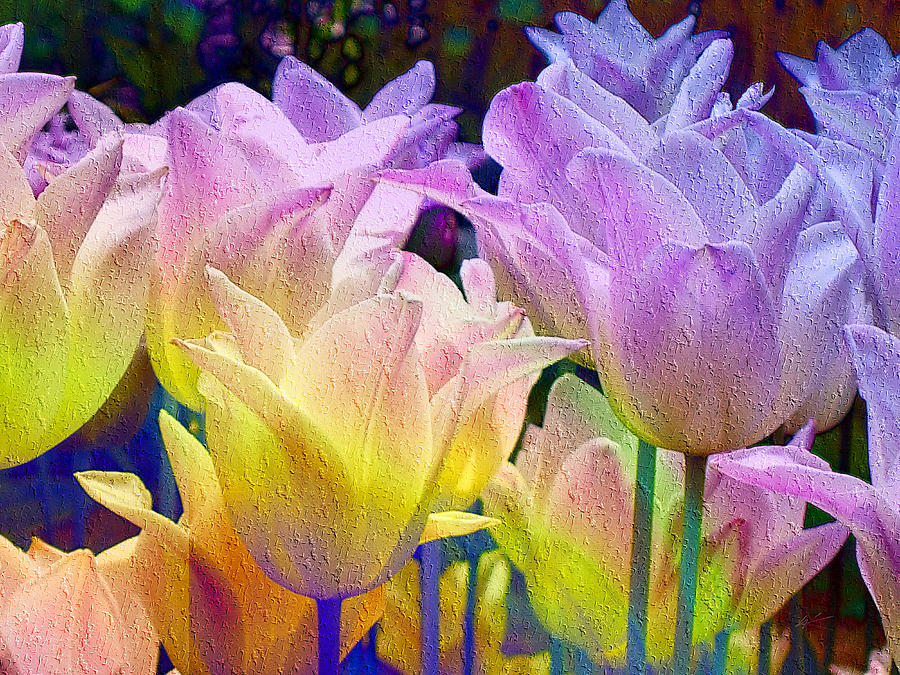 Totally Tulips Two Digital Art by Kiki Art