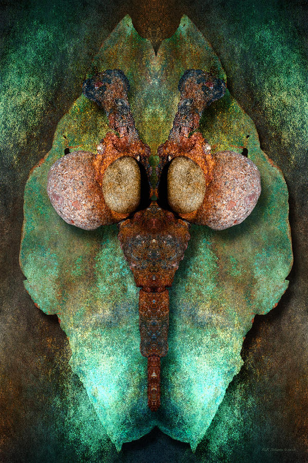 Totem of Corrosion Photograph by WB Johnston