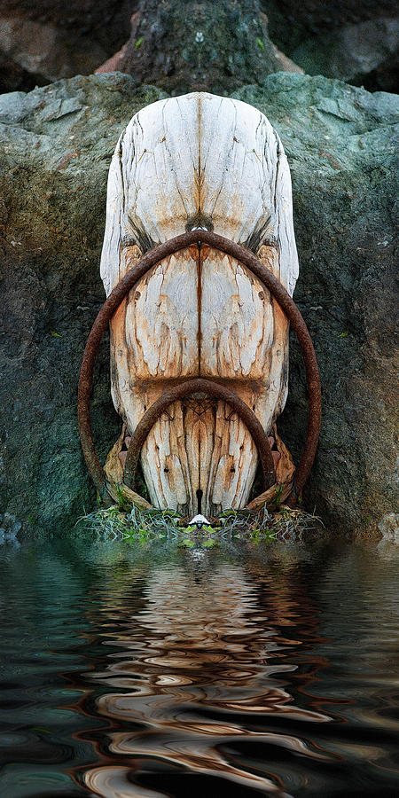 Totem Photograph by WB Johnston
