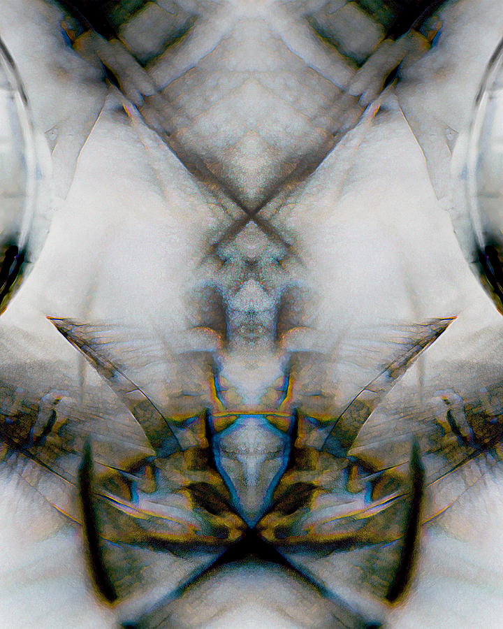 Totem_0024 Digital Art by Alex W McDonell