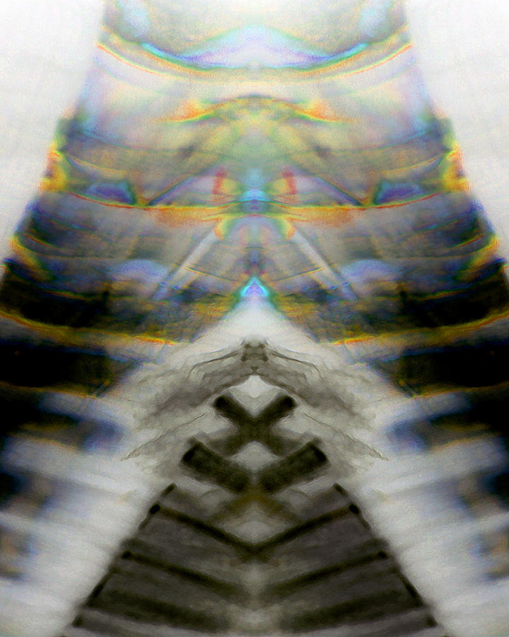 Totem_005 Digital Art by Alex W McDonell