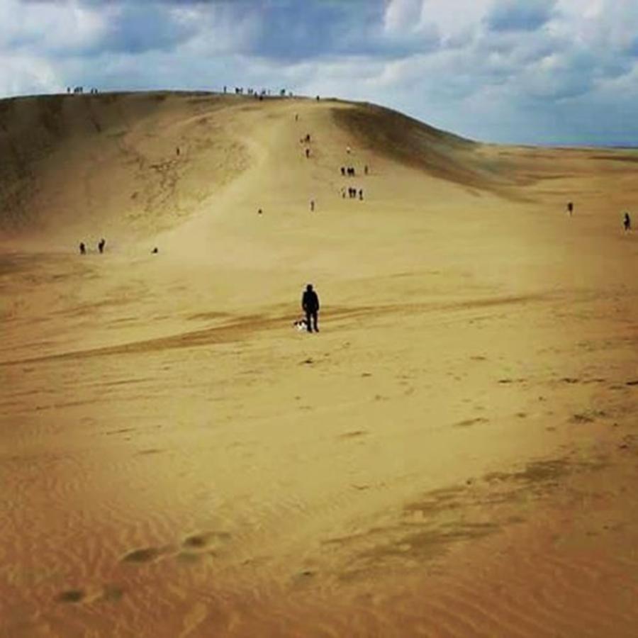 Tottori Sand Dunes 2007 Photograph by Nori Strong