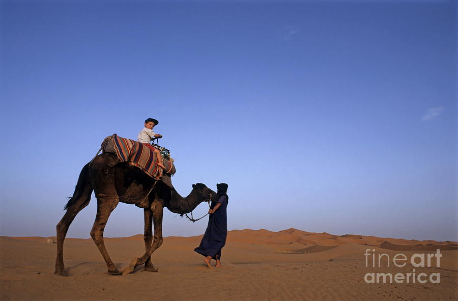 Touareg man leading boy riding camel in Sahara Desert Photograph by Sami Sarkis